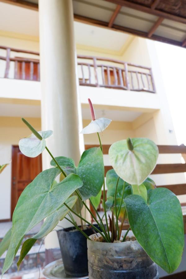 TLShaw Homestay General Luna  Luaran gambar